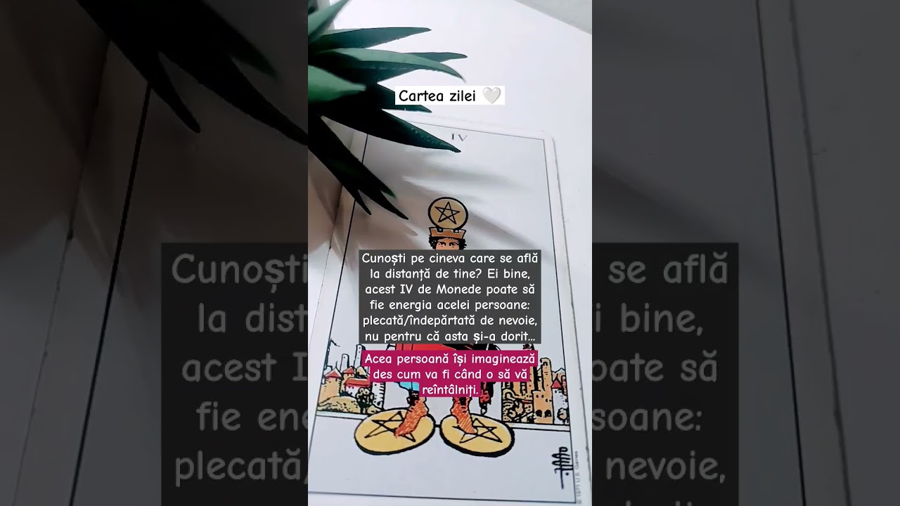 de nevoie ❣️😔😍 #tarot #relatii #sentimente