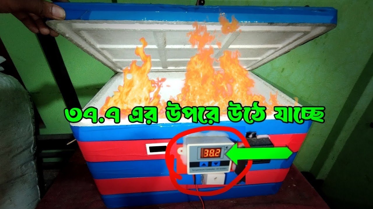 37.7 এর উপরে উঠে যাওয়ার সমাধান । ইনকিউবেটরে  অতিরিক্ত তাপ উঠে যাওয়ার কারণ?