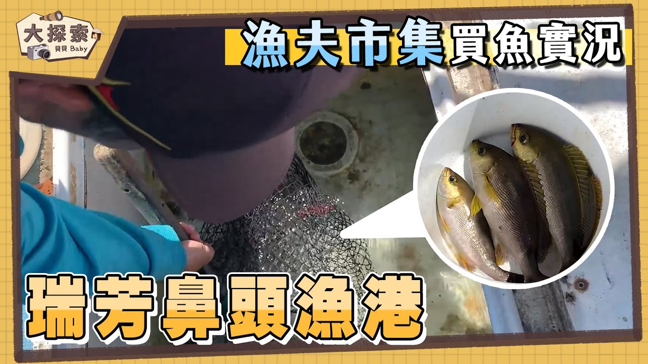 【漁港走透透】#47 瑞芳鼻頭漁港買魚實況及時間｜Fishing Port & Seafood ｜EP_141