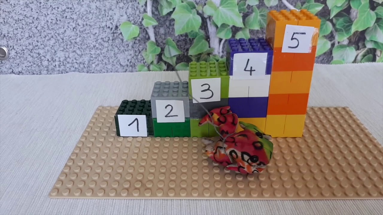 gribouille la grenouille