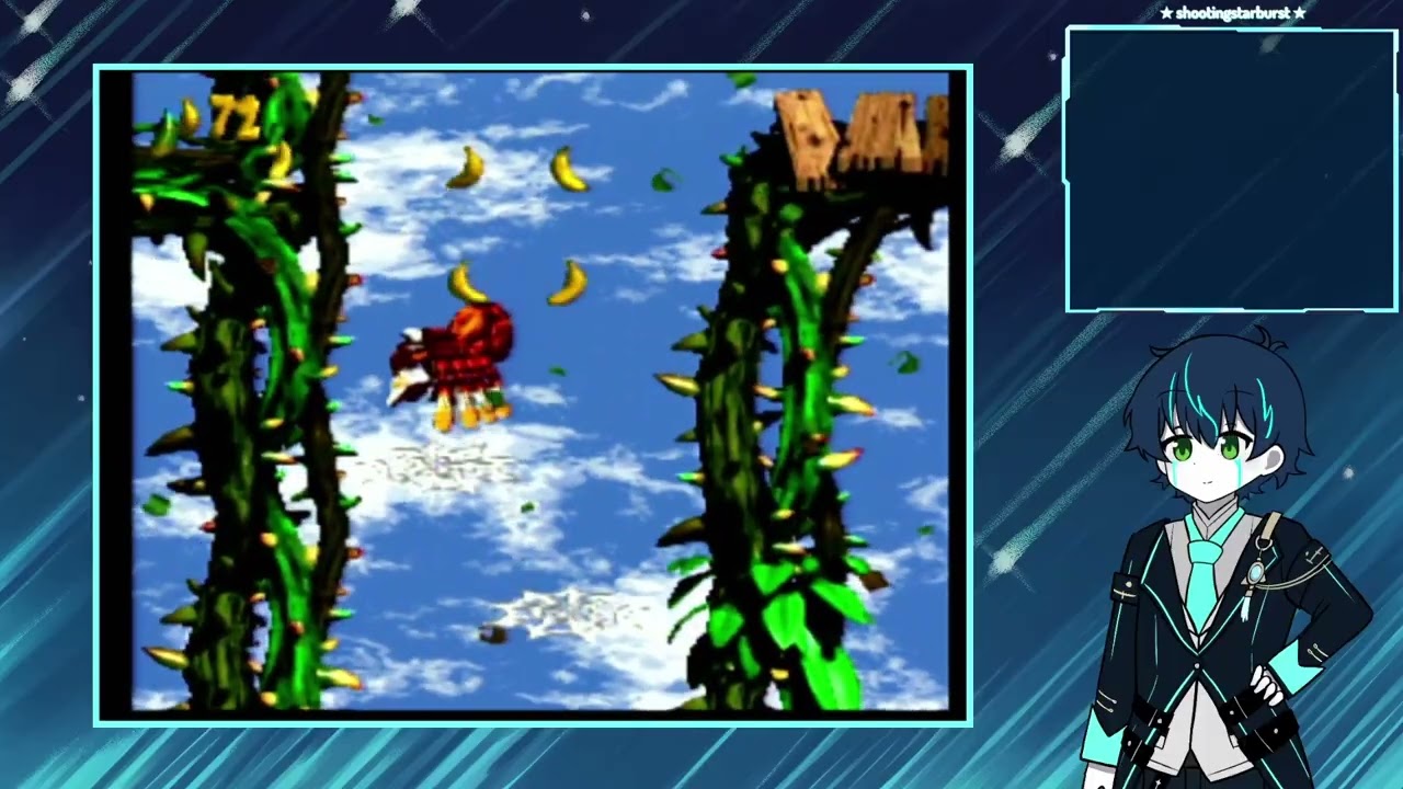 【StupidStudiosN】Donkey Kong Country 2: Diddy's Kong Quest | #6 (Finale)