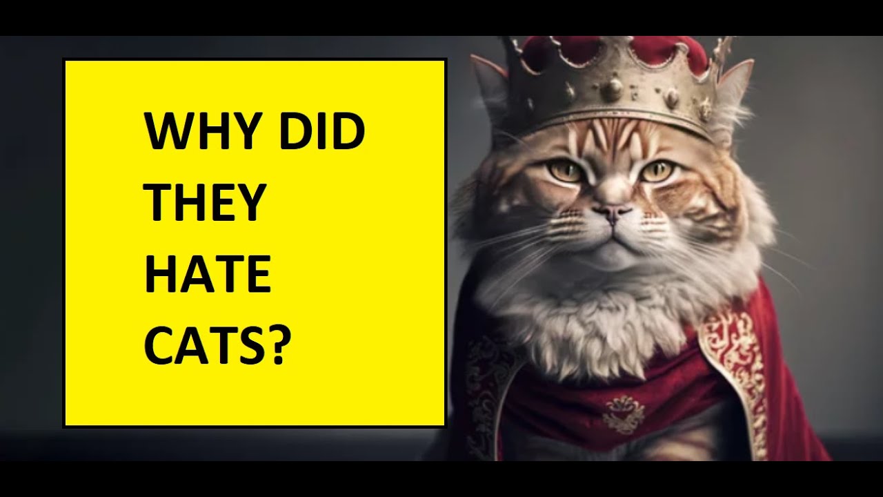 CAT Tails! A Historical Journey of Cats in Medieval Europe!