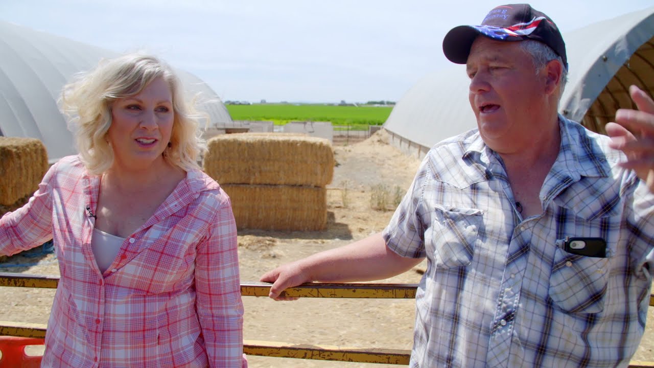 Pure Country Pork Farm | Ephrata, WA | Washington Grown
