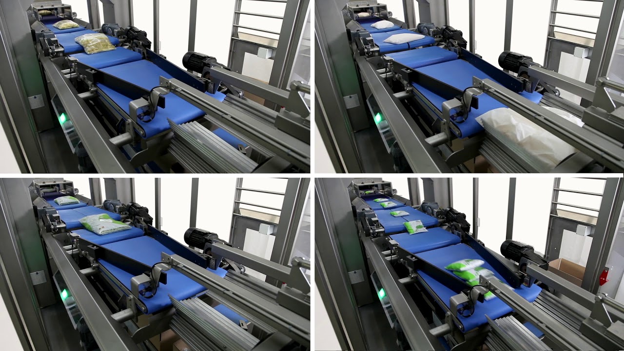 BluePrint Automation (BPA) Gravity 100r Case Packer