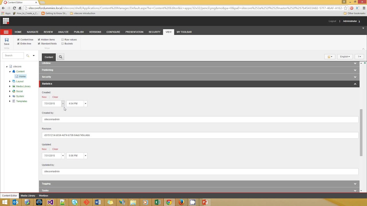 View Standard Fields Of An Item