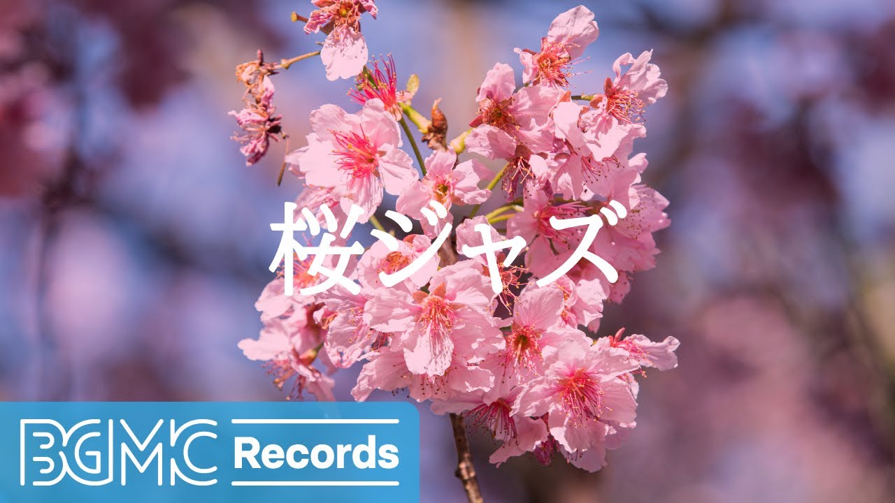 Sakura Swing: Relaxing Jazz Piano with Blossoming Cherry Blossoms