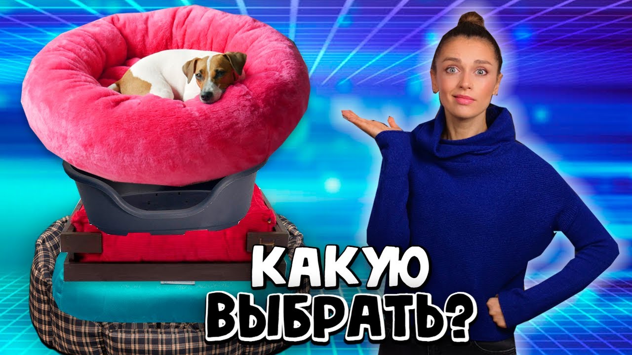 Всё о Лежанках // В Поисках Идеального Лежака