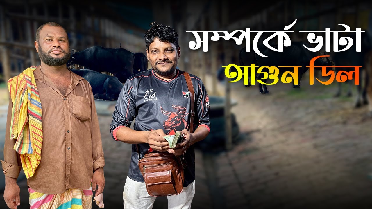 গাবতলীতে আজ আগুন ডিল! 😳 উজ্জল vs আকরাম মহিষ দরদাম লড়াই | Buffalo price in Bangladesh #GabtoliHaat