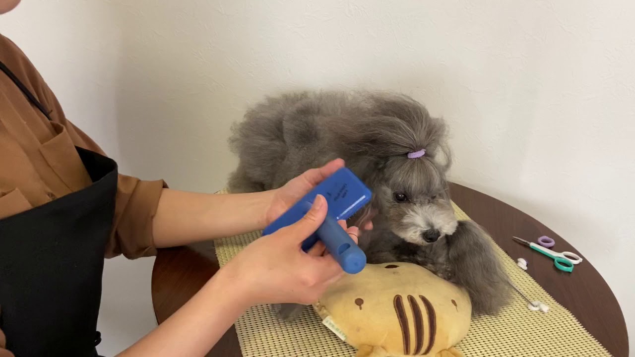 わんこのトップノットの作り方