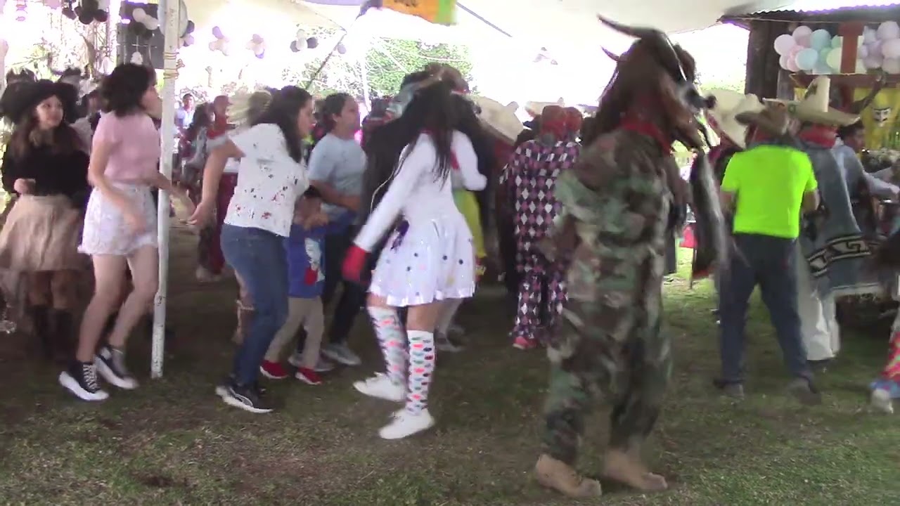 Carnaval Carpinteros Hidalgo 2024 Día Domingo 9