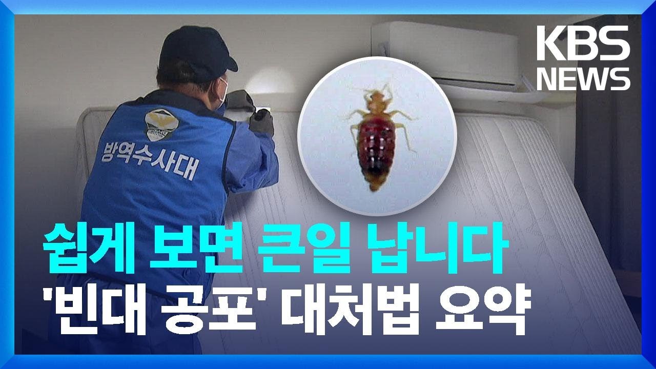 전국 사방에 ‘빈대 공포’…대처법은? [친절한 뉴스K] / KBS  2023.11.02.