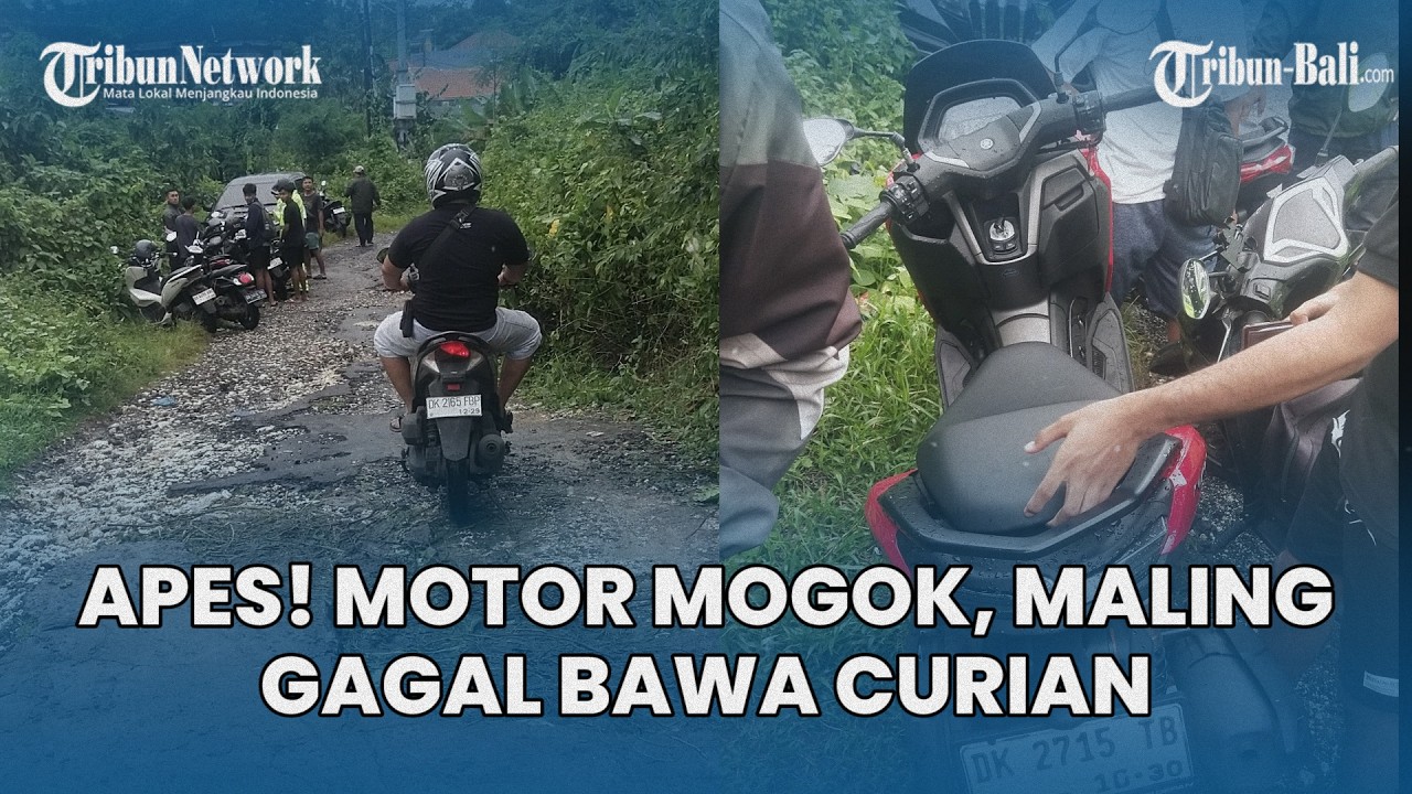 APES! Maling di Kuta Selatan Bali Gagal Bawa Motor Curian, Ditinggal di Semak Gara-gara Mogok