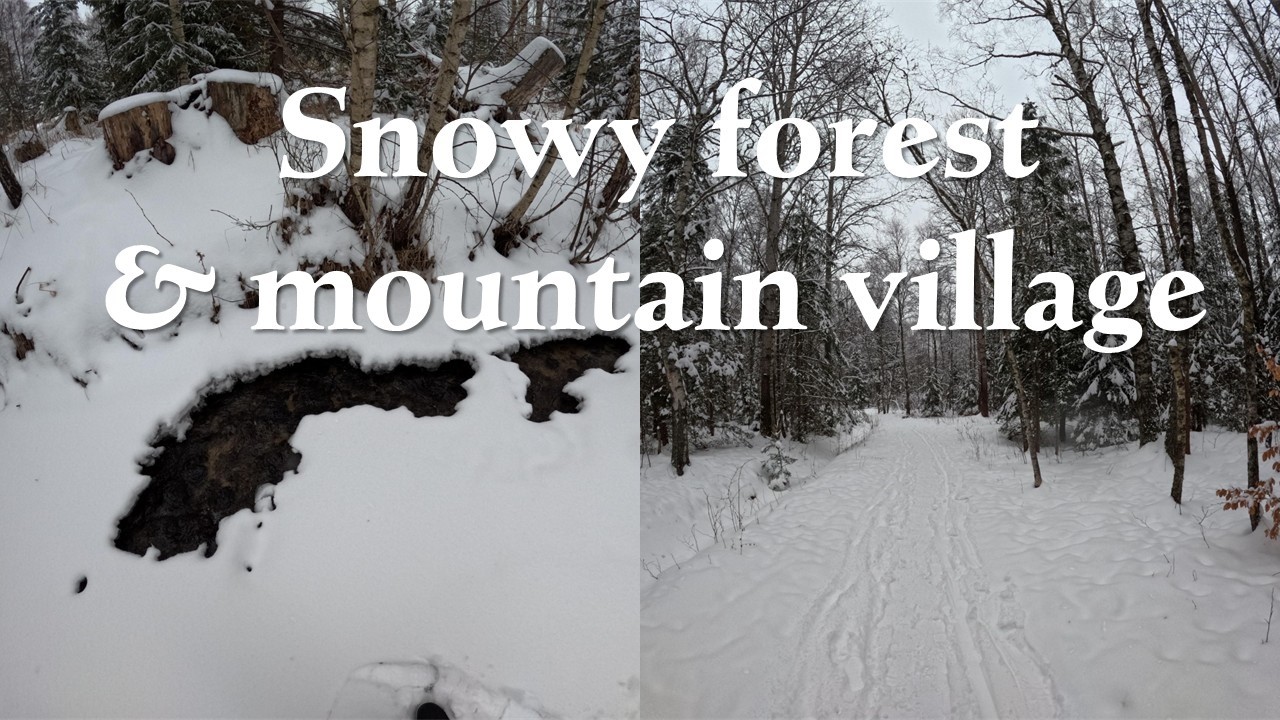 ❄️ Snowy Forest & Mountain Village | Winter Walk in Slovakia