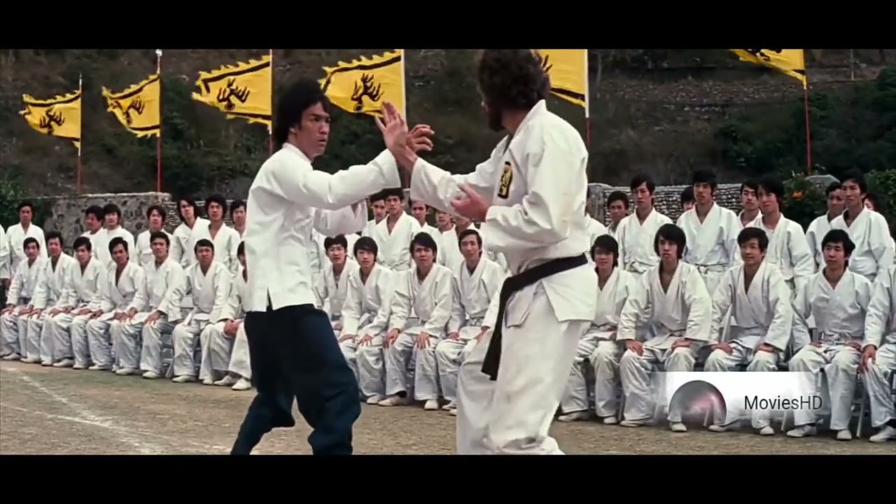 👍👍👍👍👍👍👍👍brusle fight
