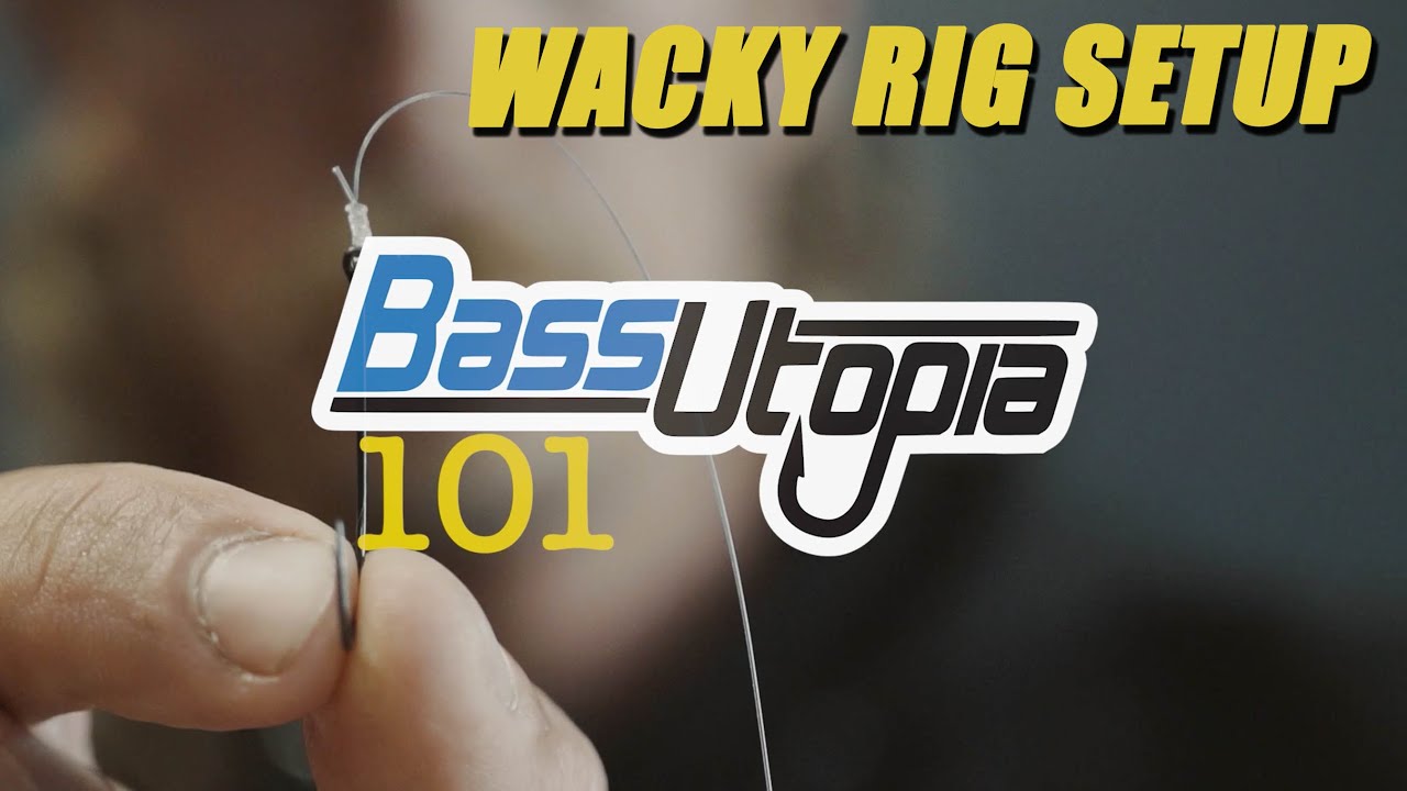How to Set Up the Wacky Rig