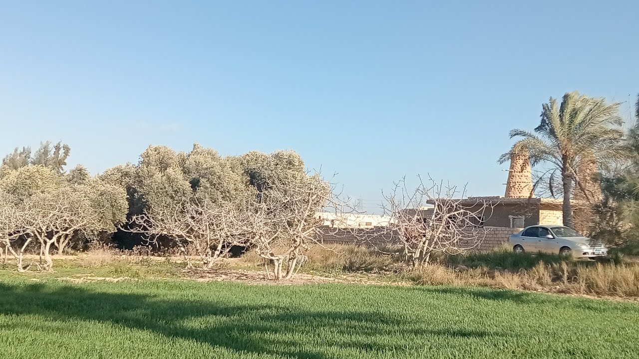 منزل وزريبه على مساحه 22 فدان ارض تقنين للتواصل محمود للتسويق العقاري 01010150636