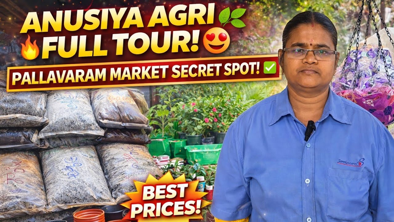 Anusiya Agri Products Full Tour 🌿🔥 | Pallavaram Friday Market Hidden Gem | Prices, Plants & More!