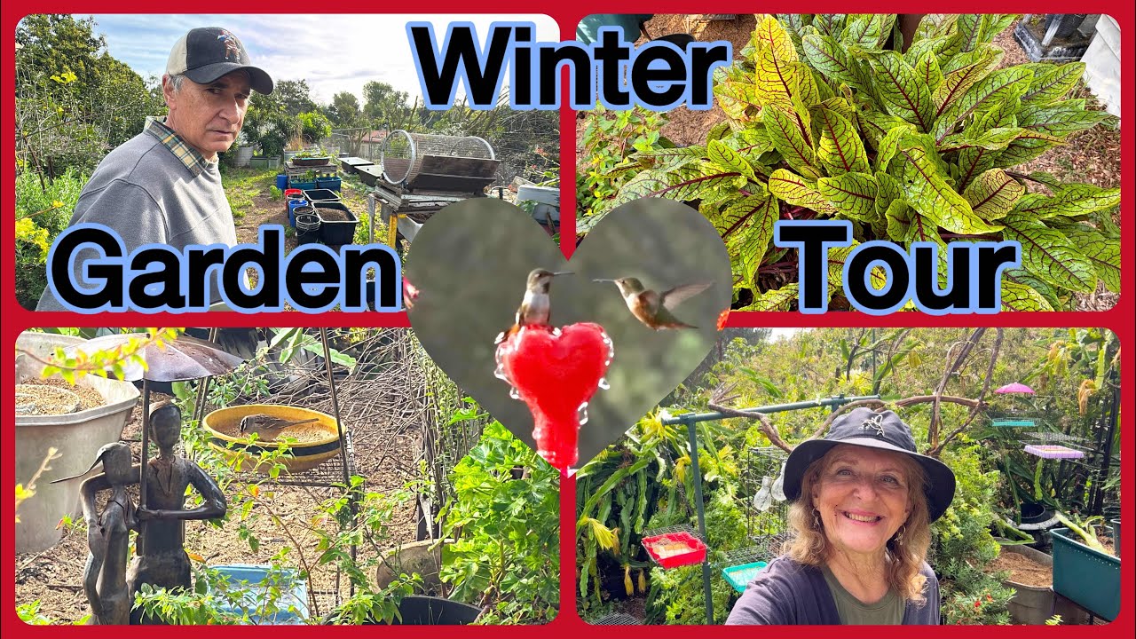 Garden Tour & Hiking to a Permaculture Food Forest Growing Food WILD with Nature, Making FREE Soil