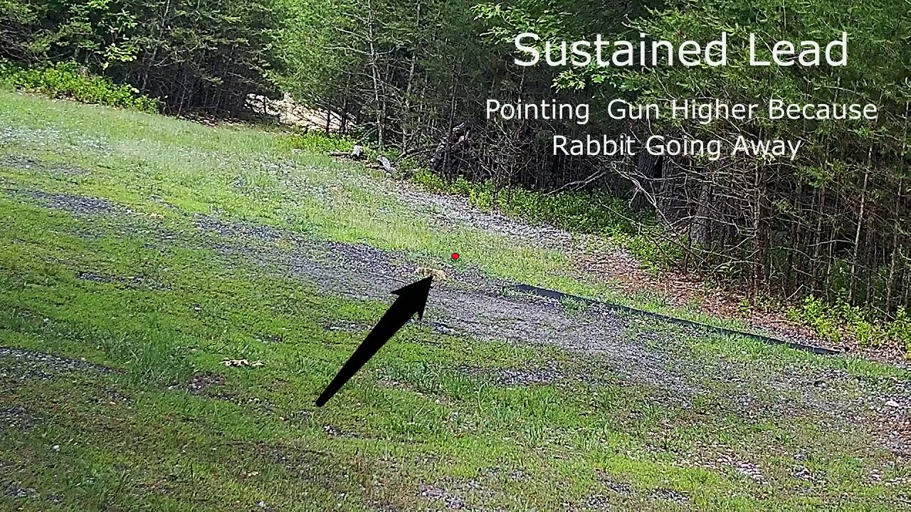 SHOTKAM- 2 methods for shooting rabbits