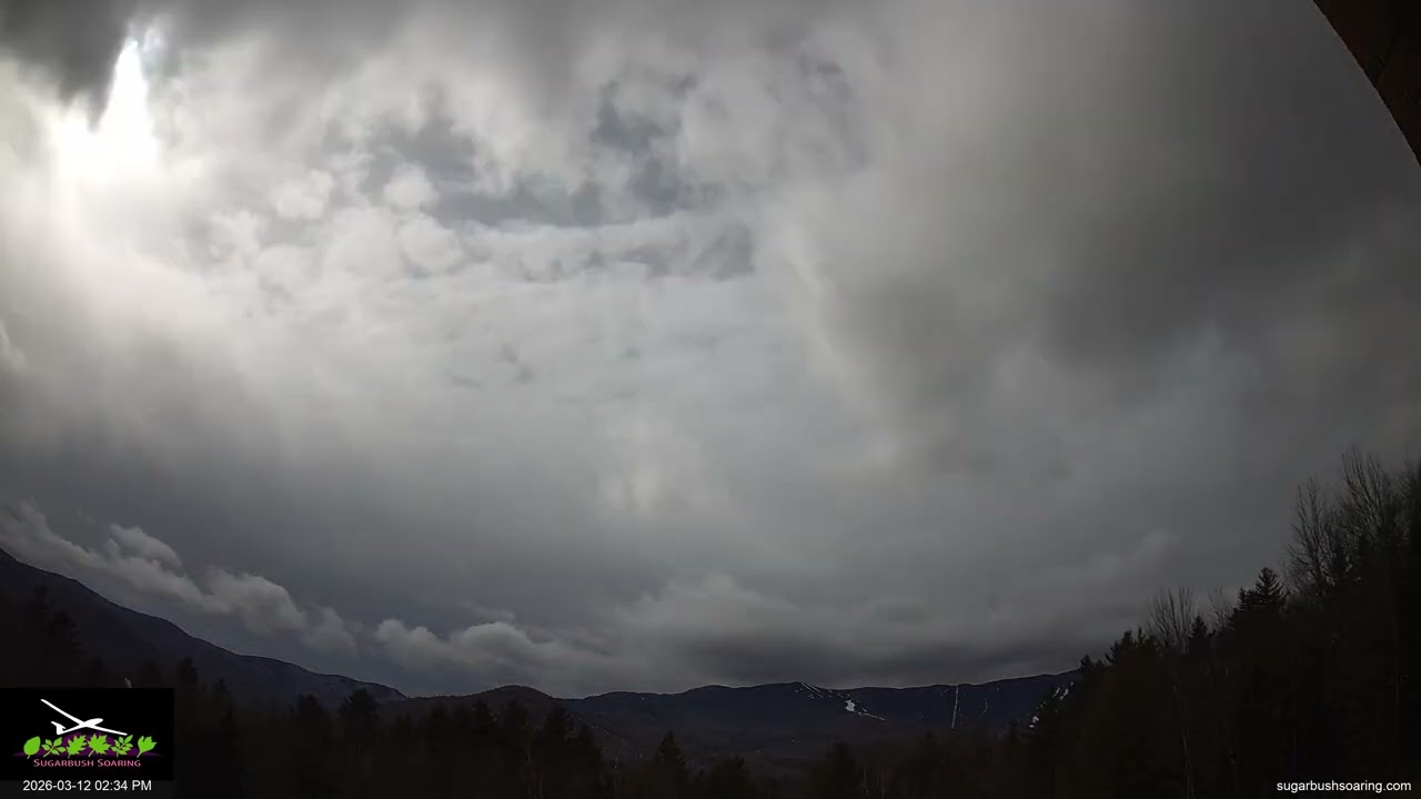 WaveCam 2026 03 12