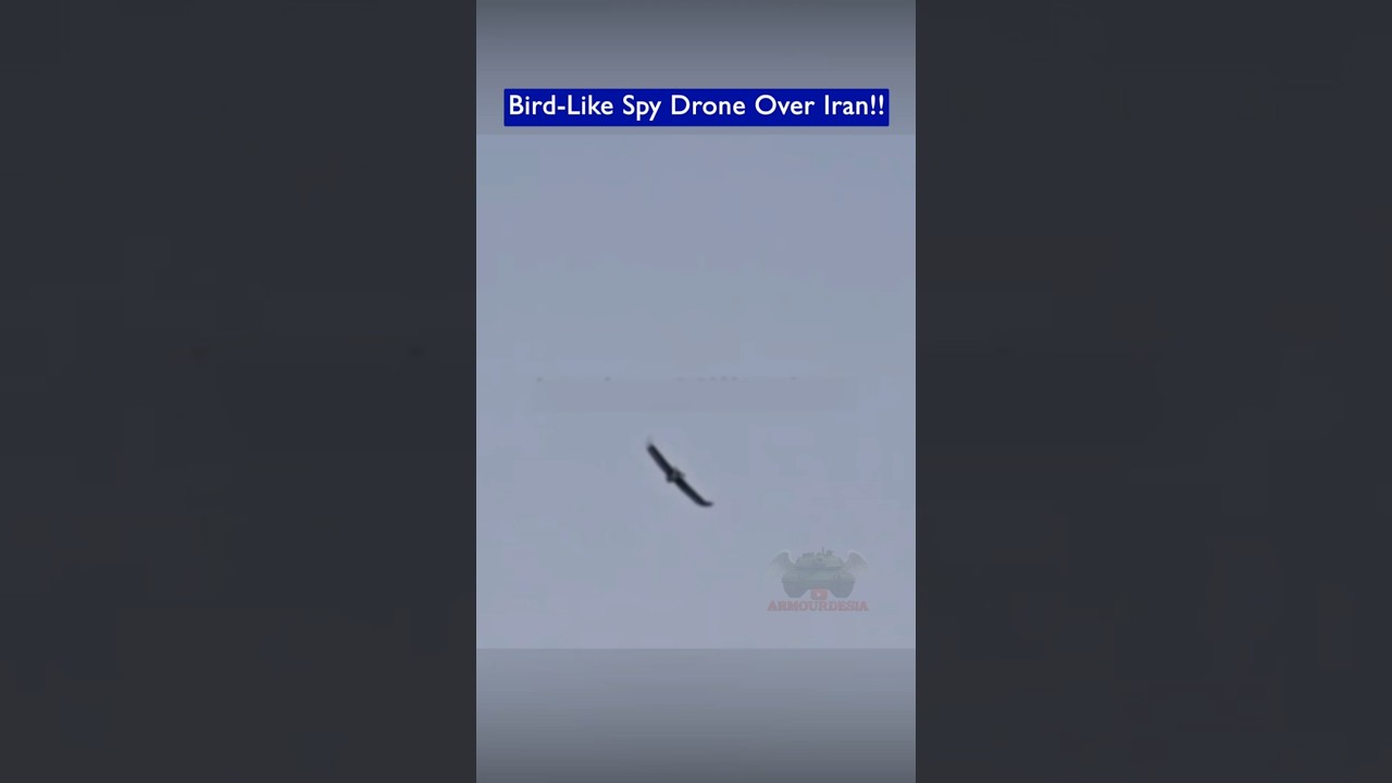A Bird-Like Spy Drone Spotted Flying Over Iran!!