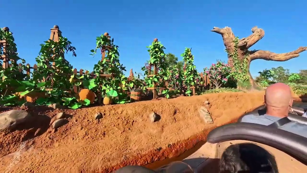 Tiana's Bayou Adventure