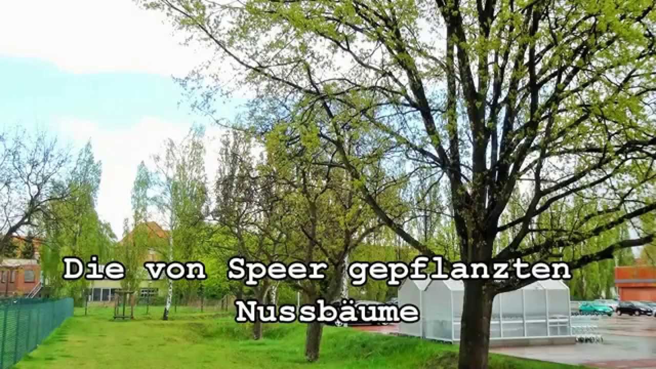Albert Speer's Nussbäume für YouTube Gefängnis Spandau