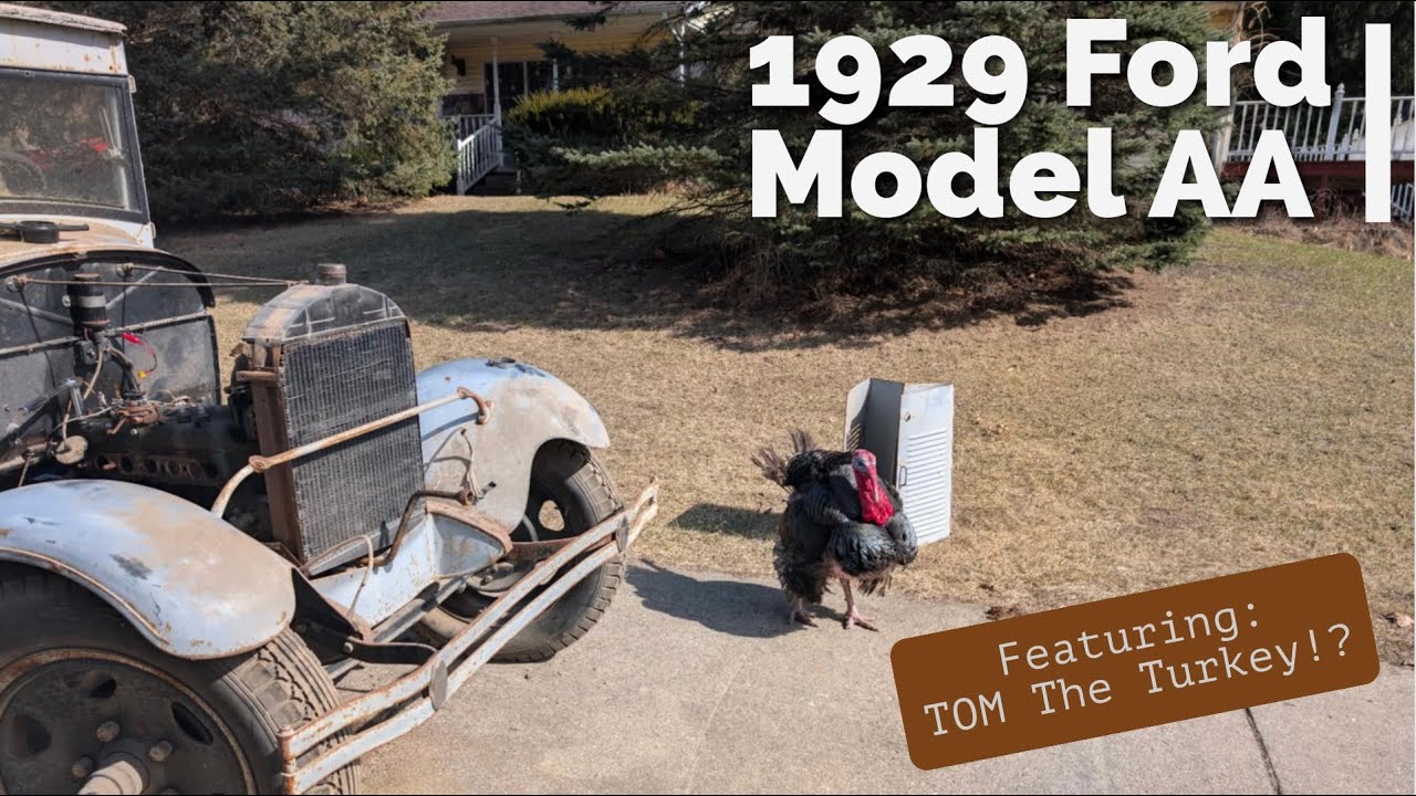 На ходу? В САРАХ НАХОДИТСЯ Ford Model AA Express 1929 года, который простоял более 30 лет!