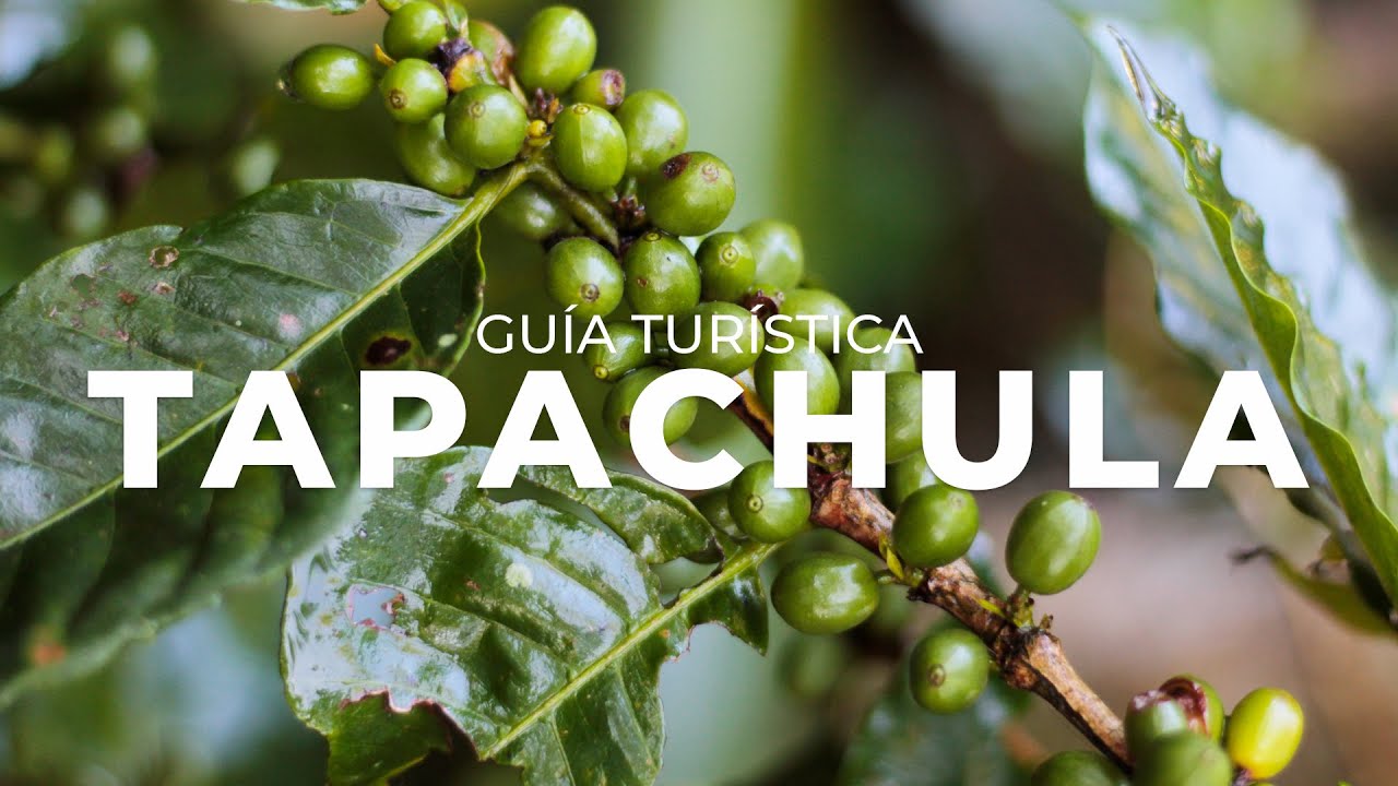 Guía turística: Las mejores cosas qué hacer en Tapachula, Chiapas (2021) I Viajes