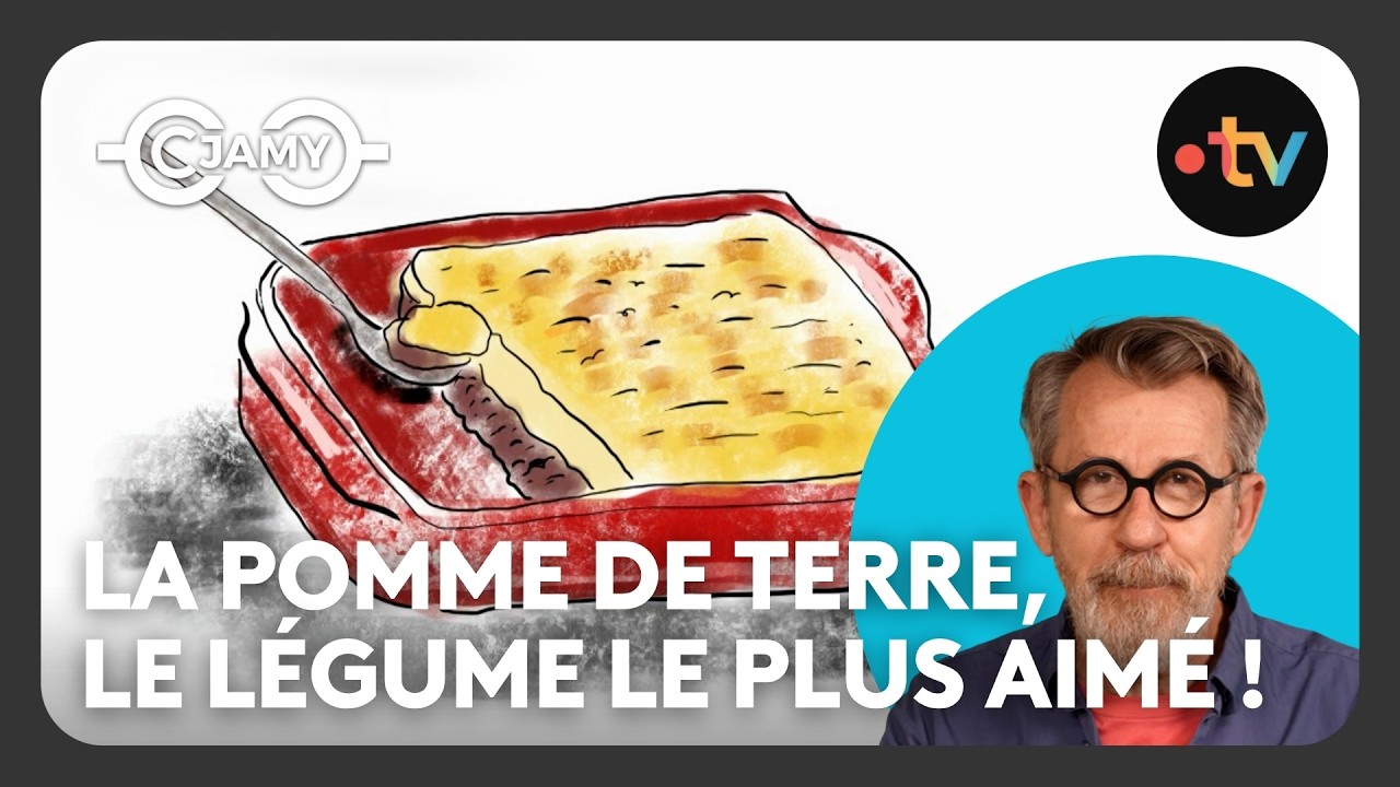 Le chewing-gum a 150 ans & la pomme de terre, du poison au légume favori ! - C dingue ! - C Jamy