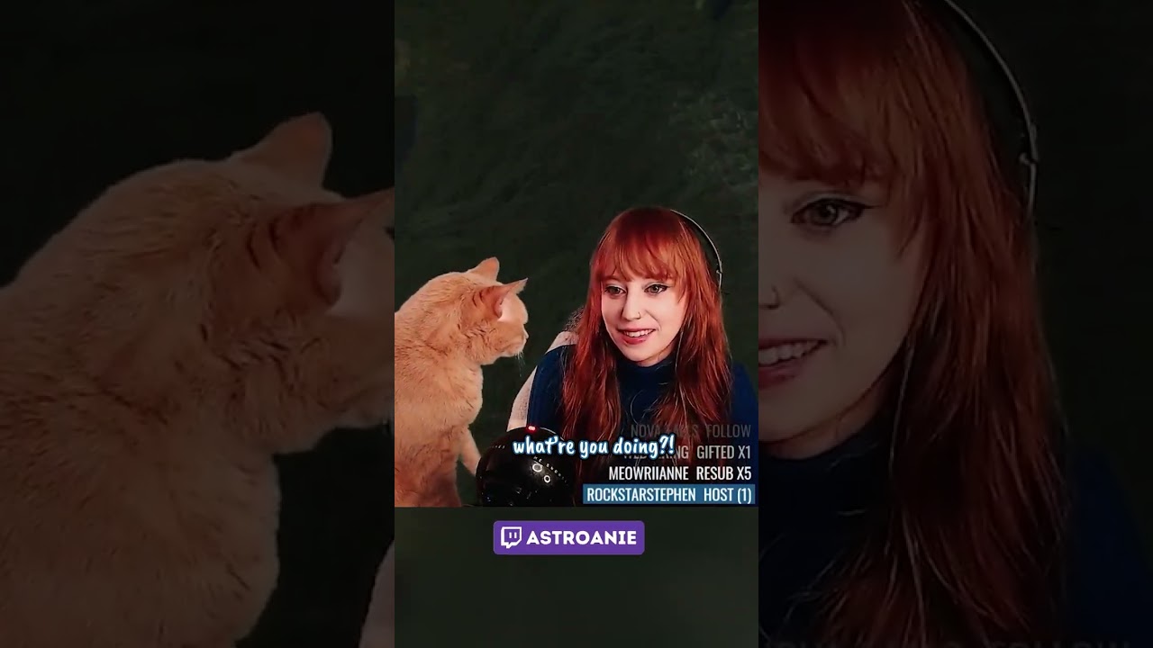 Кот злобно напал на лицо стримера Twitch во время игры...