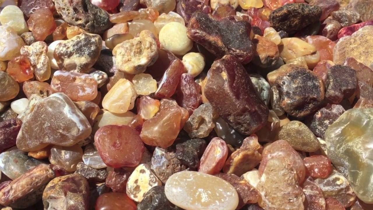 Finding Agates on the Beach