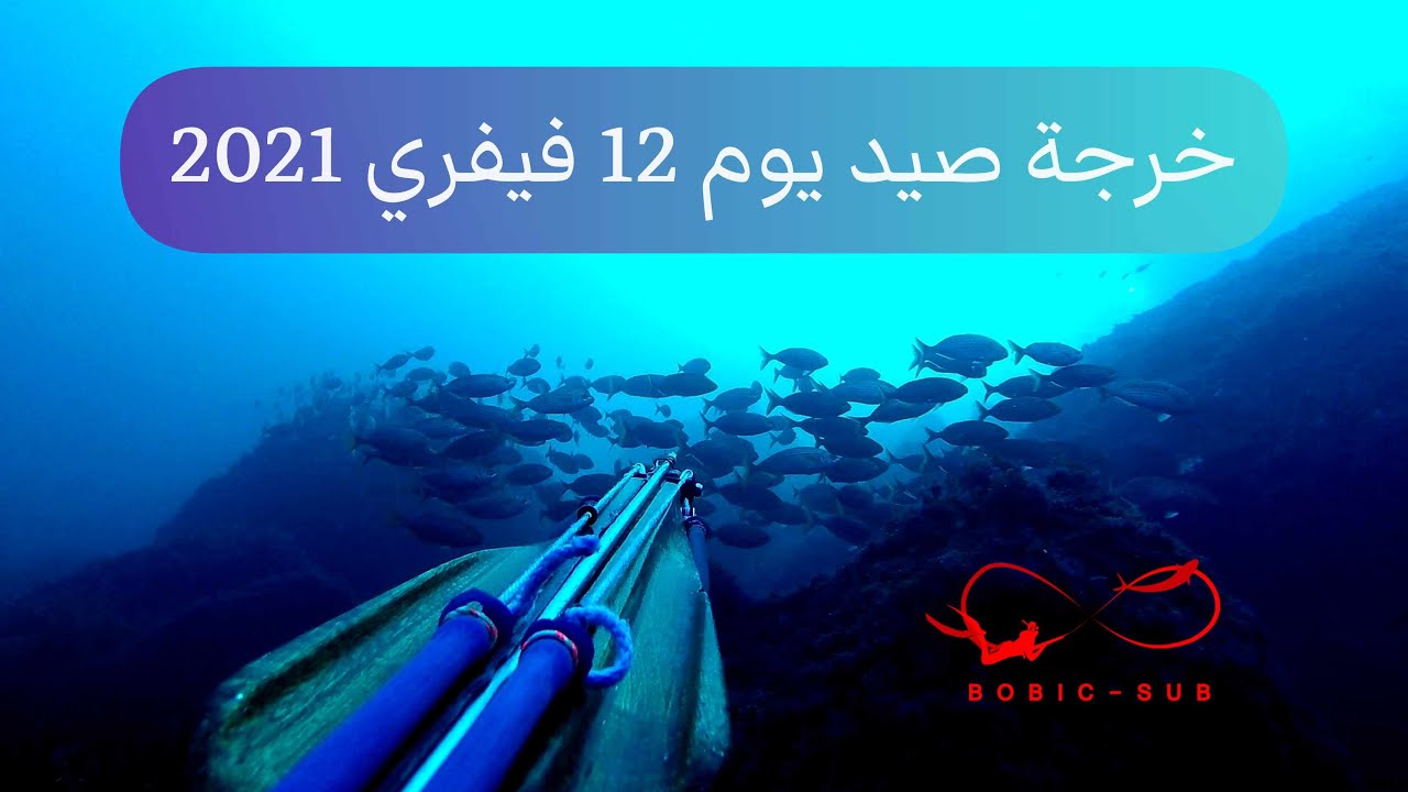 خرجة صيد يوم 12 فبراير 2021