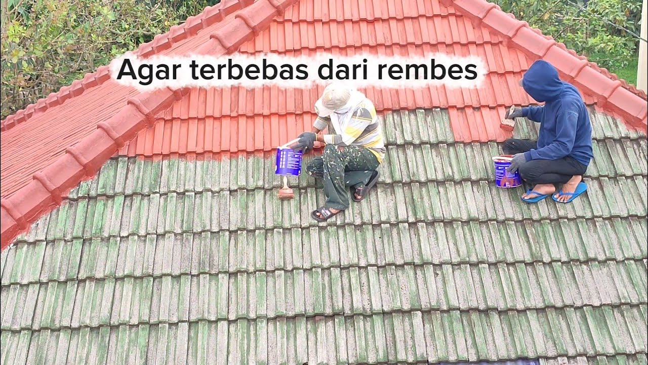 Cara mengatasi genteng rembes