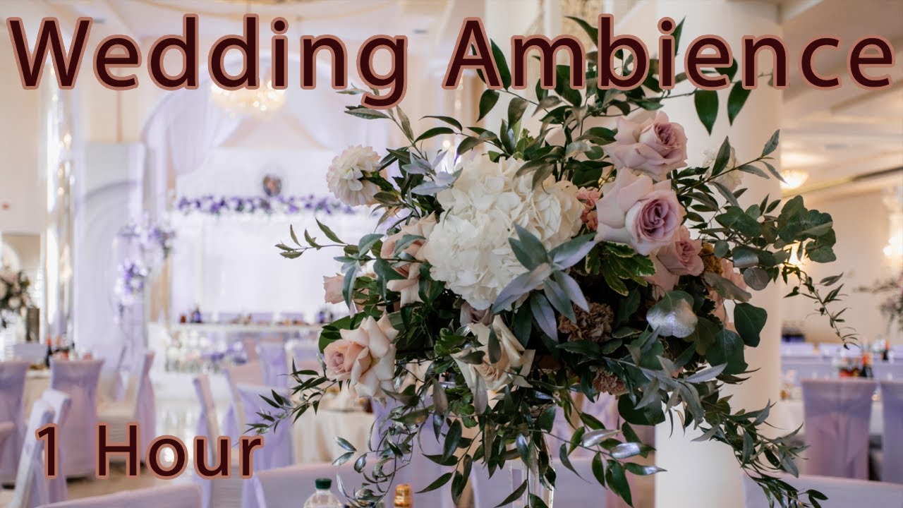 Wedding Celebration Ambience | ASMR | Study/Relax