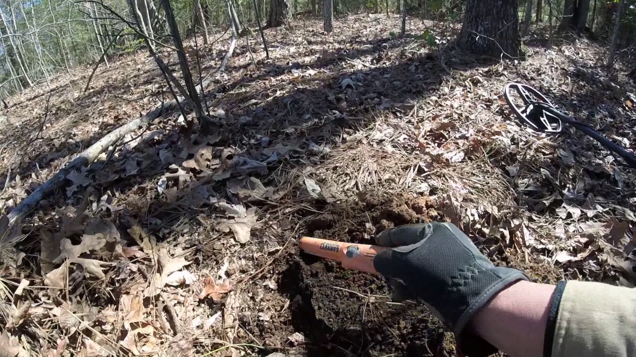 Dinwiddie Virginia Relic Hunt using AT Pro.