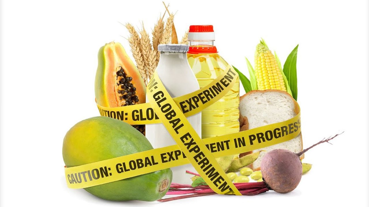 Monsanto, BigAg Spend Millions Fighting Colorado, Oregon Ballot Measures to Label GMO Foods