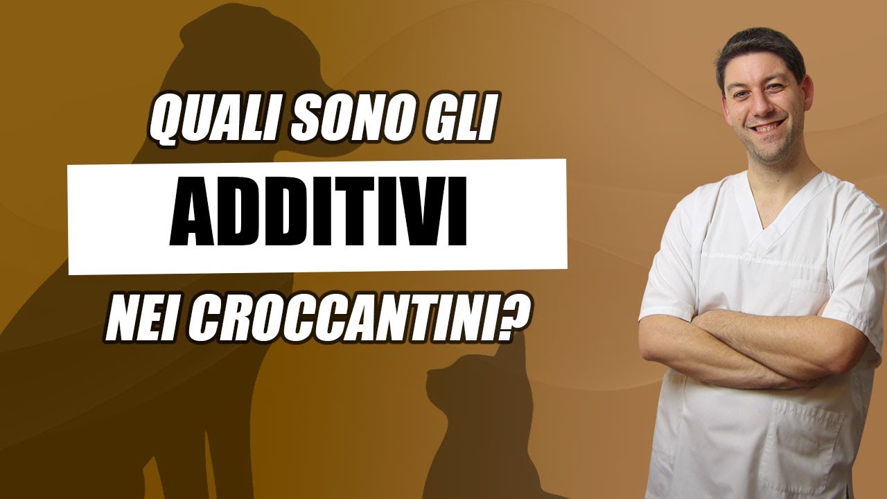 Quali sono gli additivi rischiosi negli alimenti per cani e gatti?