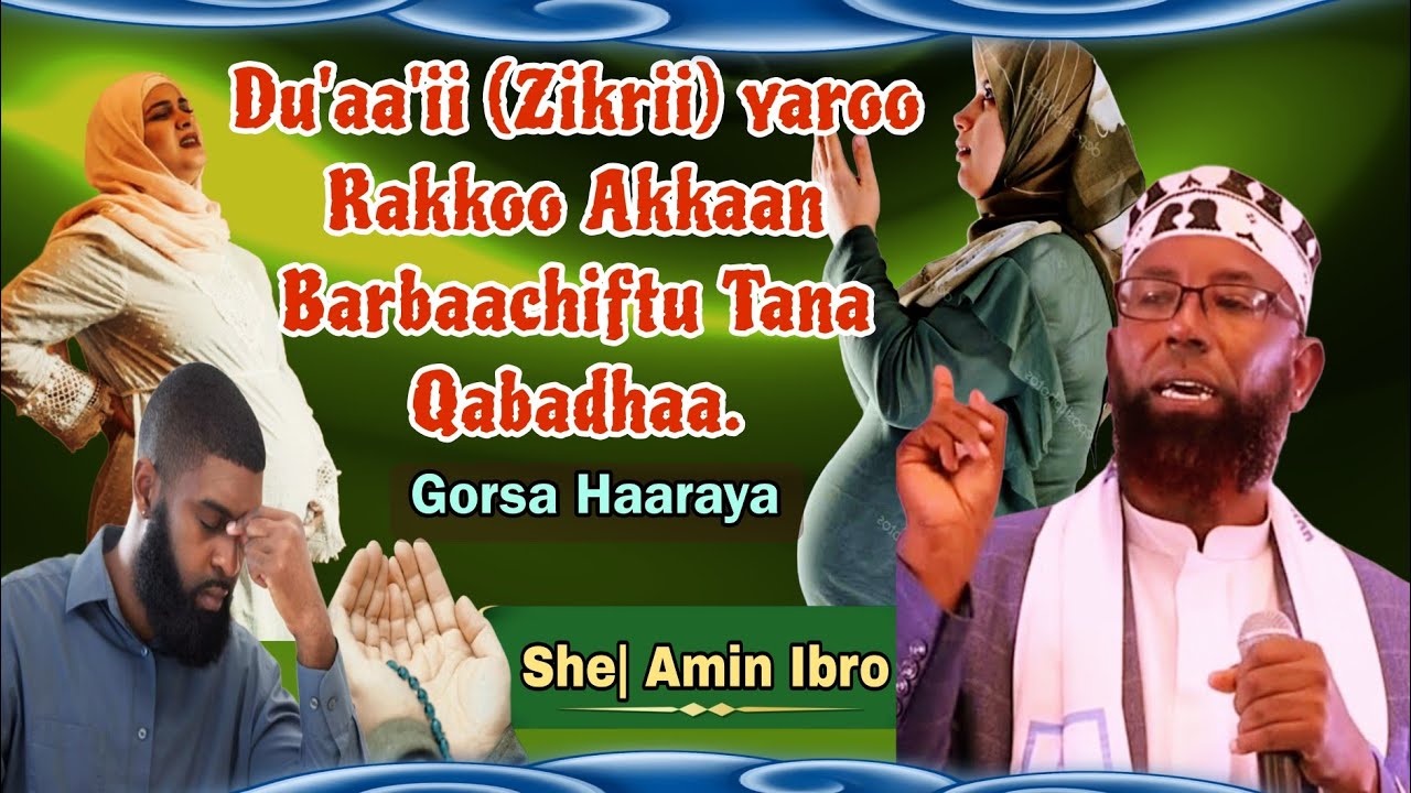 Sheikh Amin Ibro, Dubartii Baqaqsuun Daldala taate, Dua'ii Yaroo rakkoo Akkan barbaachiftu namu bara