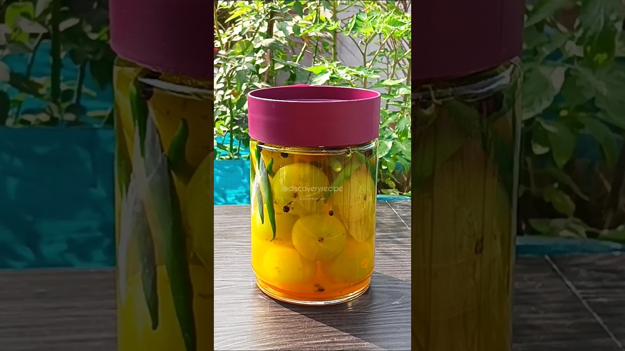 Homemade probiotics (Fermented Amla)