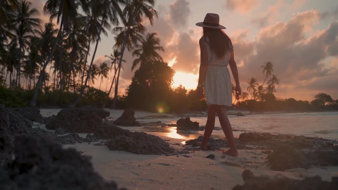Lonely Girl Walking on Beach at Sunset | Free Stock Video Footage No Copyright
