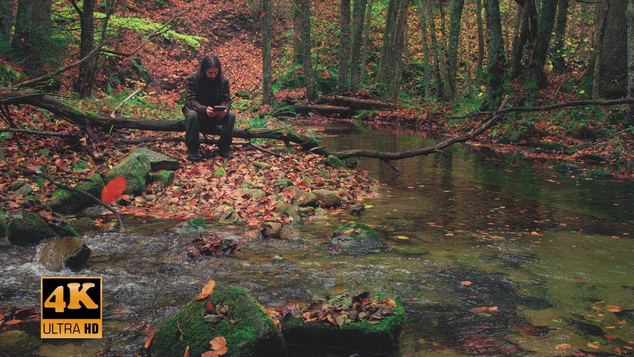 4K 🍃 Tranquil River Scene | Soft Water Sounds 📖 Calm Reading in Nature