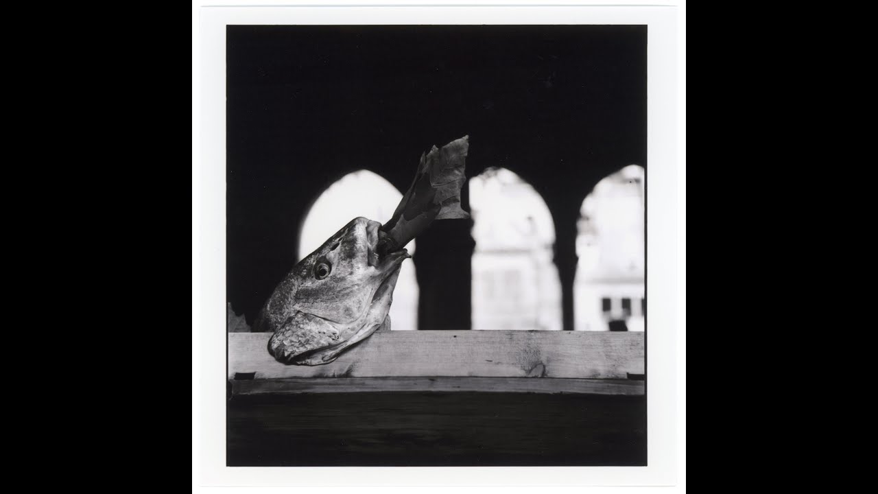改变马格南摄影师一生的照片 14 — Elliott Erwitt「我关注人性中的喜剧性」