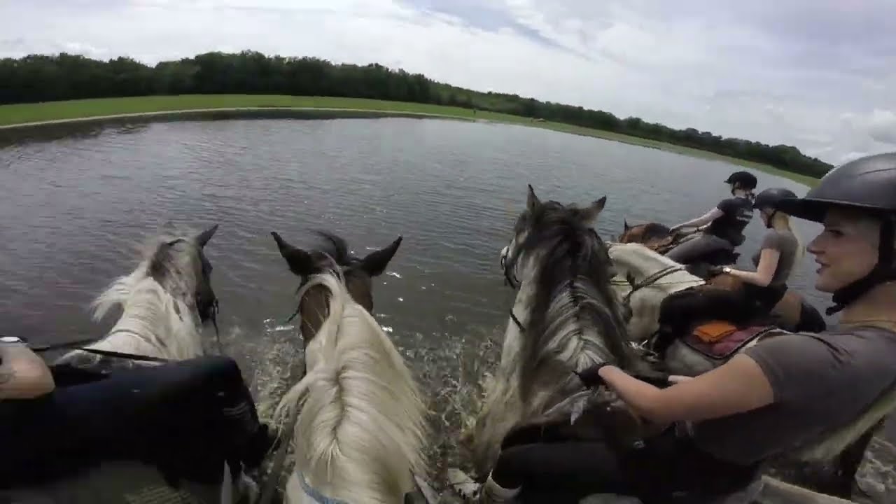 Fjordenpaard Hemelvaartsweekendje 2025