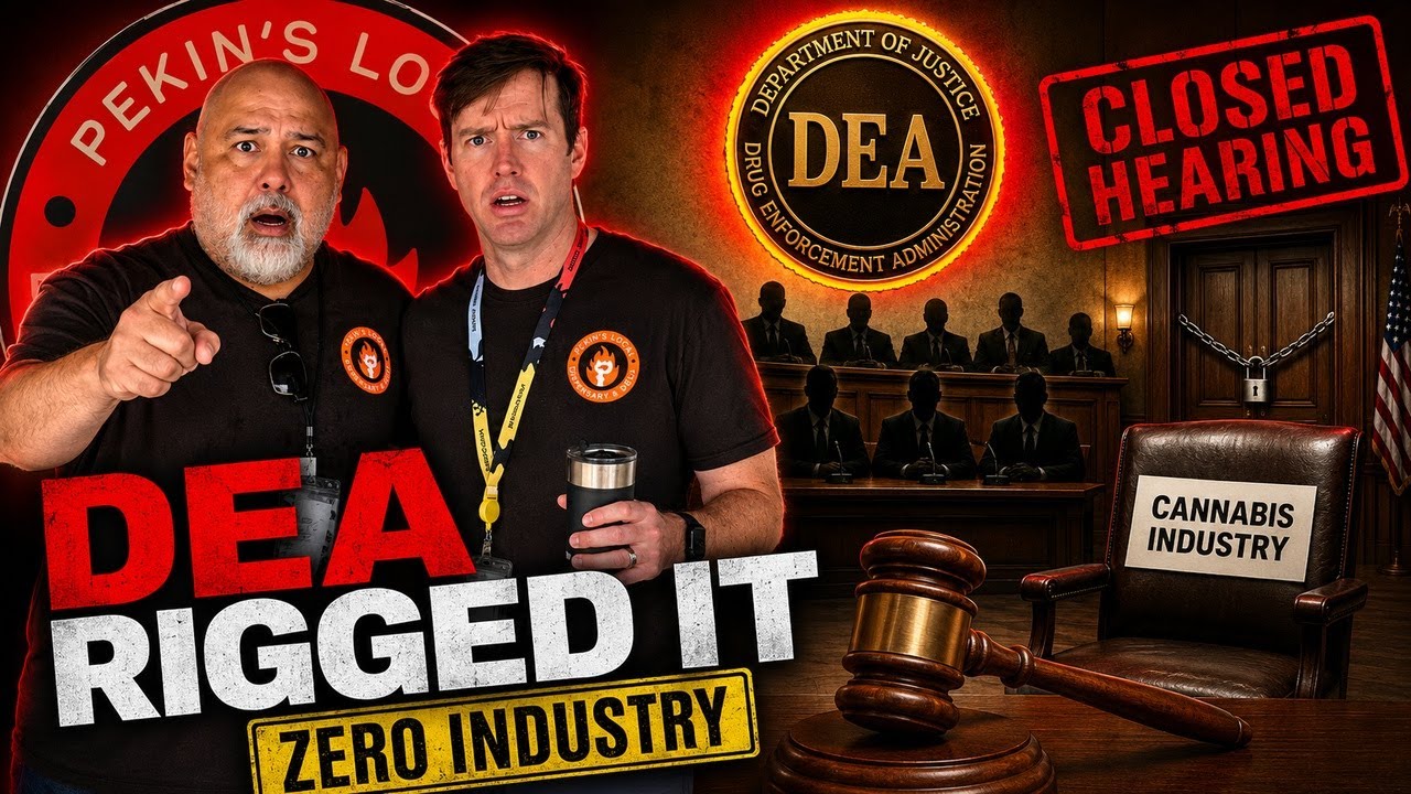 DEA подстраивает слушания против индустрии каннабиса &mdash; что будет дальше