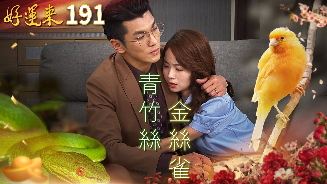 好運來 EP191 青竹絲 金絲雀｜Everybody Needs Good Luck
