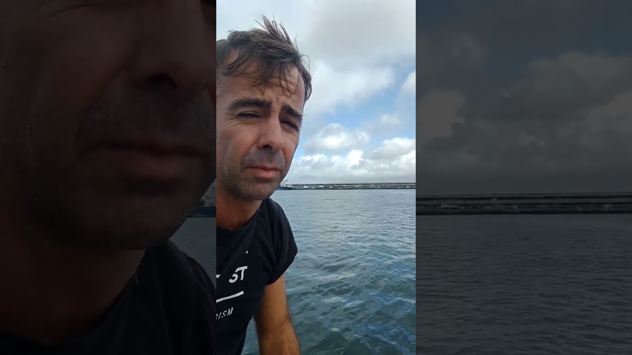 Falsa-orca (Pseudorca crassidens) no porto da Horta!