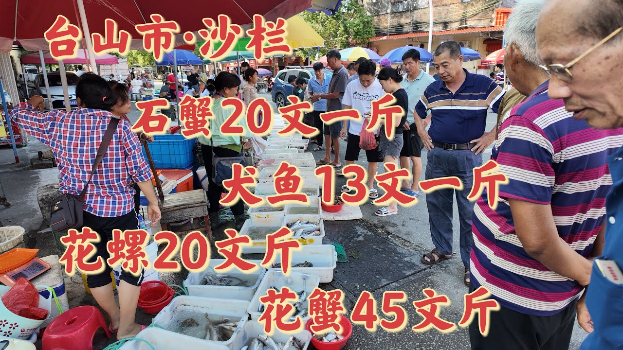 台山百曉：今日分享視頻拍攝地點是台山市海宴鎮沙欄墟，沙欄曾經也是一個繁榮熱鬧小鎮，曾經的煙火氣也許再也看不到，如今的小鎮依然有各種海鮮供過往的遊客選購，但是一切都是匆匆而過！#taishan#台山