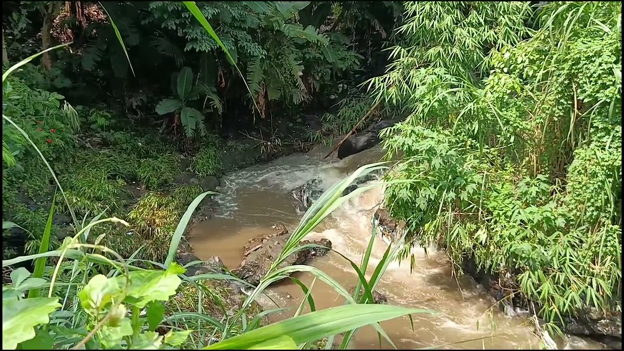 Relaksasi suara sungai 