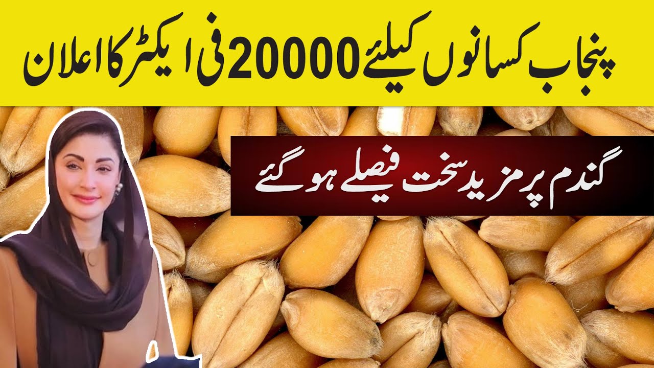 پنجاب کسانوں کیلئے بیس ہزار فی ایکٹر کا اعلان ہو گیا
